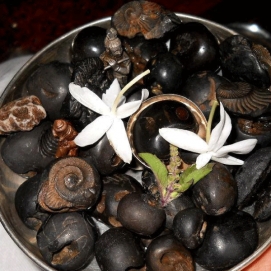 Shaligrams in Delhi